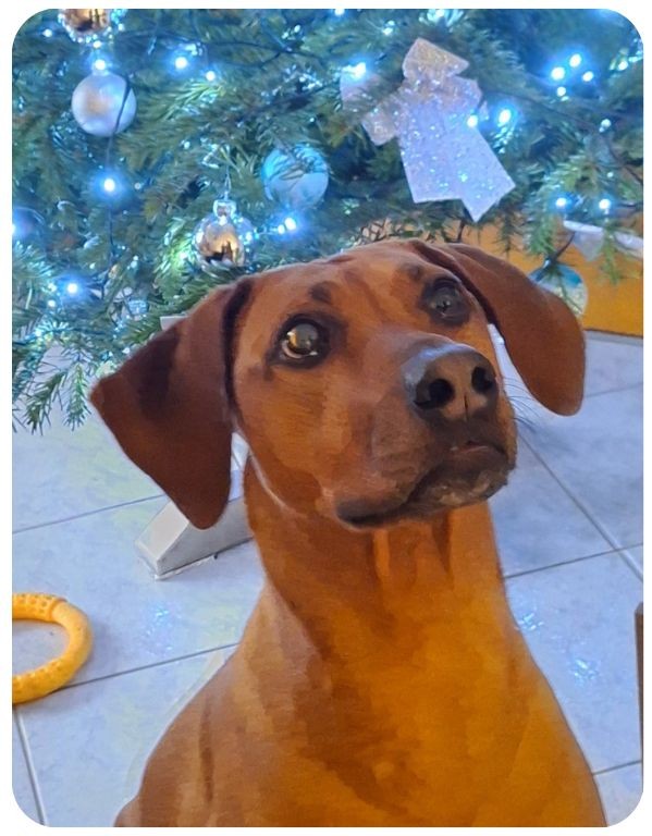 Návrh bez názvu - 2025-10-30T174001.387